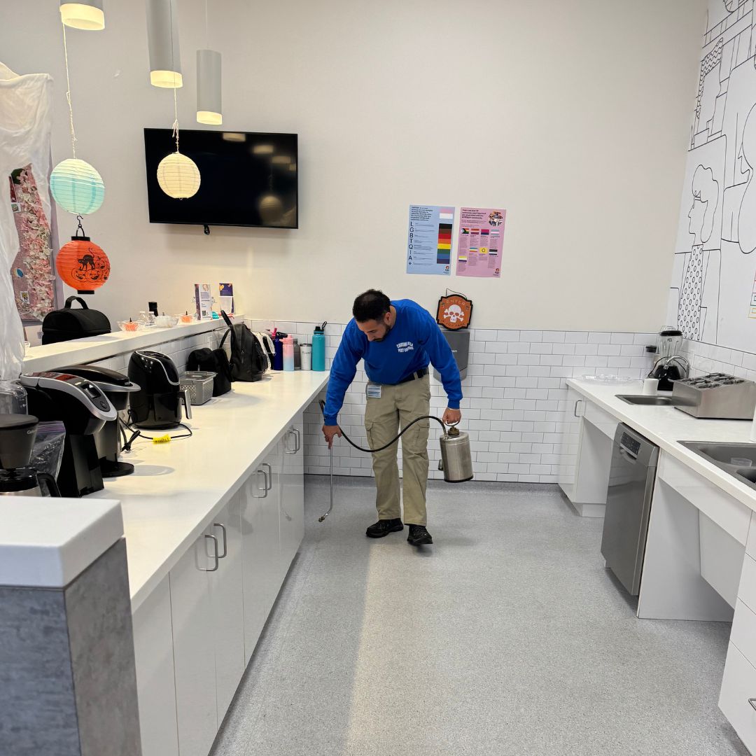 Diseño sin título (98)